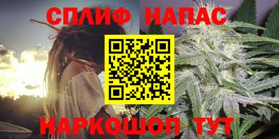 гидропоника Берёзовский