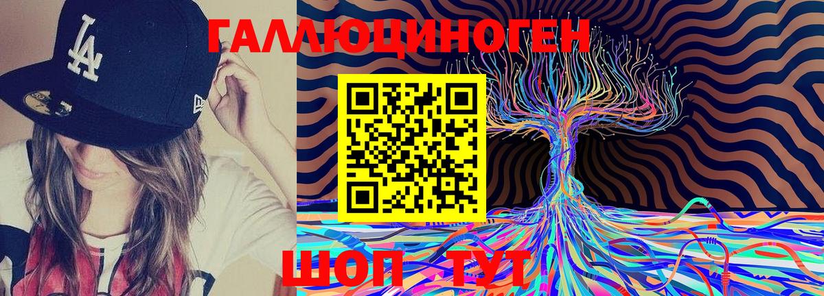 Качканар  Галлюциногенные грибы Psilocybine cubensis  Вход с VPN 