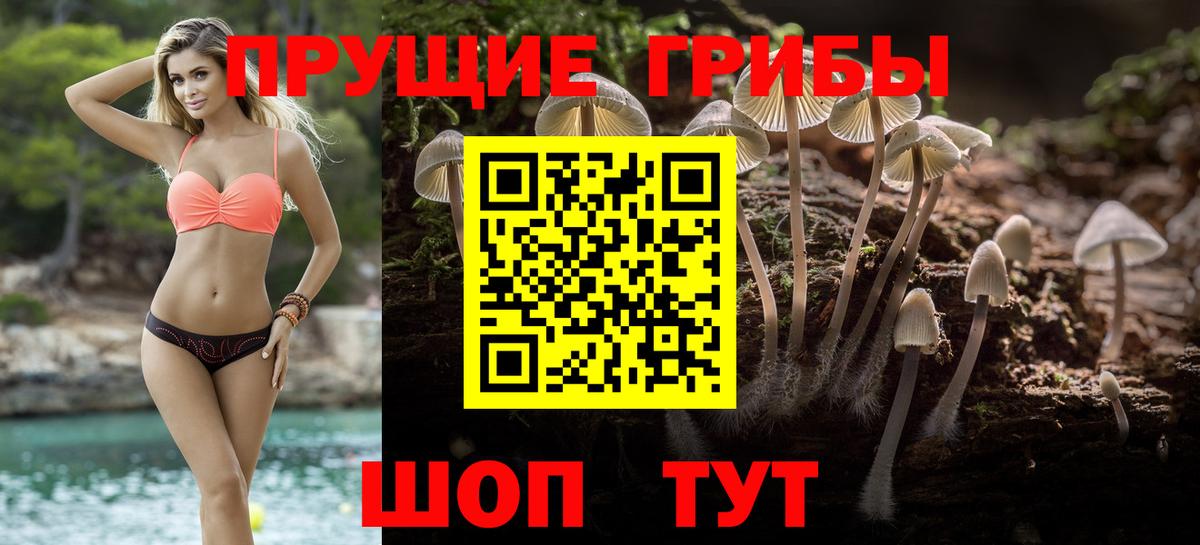 Псилоцибиновые грибы Psilocybine cubensis Качканар