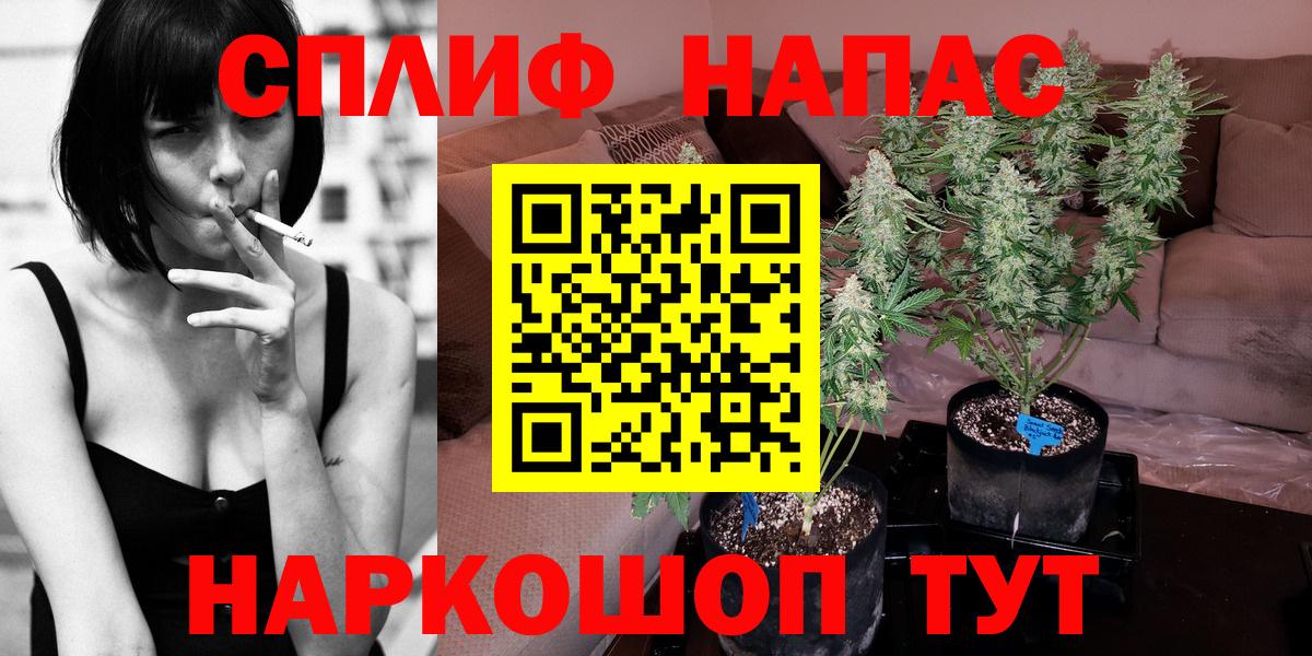 Конопля MAZAR  Марихуана THC 21%  Вход с VPN  Бошки марихуана ГИДРОПОН  Качканар 
